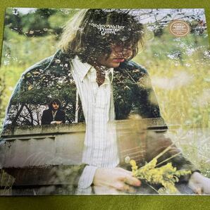 送料無料！US限定グリーンカラー盤 Ryley Walker Primrose Green 2015年