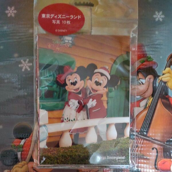 ☆新品♪ディズニーランド クリスマス 写真 実写 フォト 2023☆