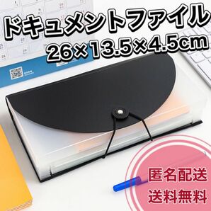 ドキュメントファイル 48 書類整理 領収書 ケース 持ち運び 書類ケース 卓上収納 クーポン分類 ファイル 領収書 通帳