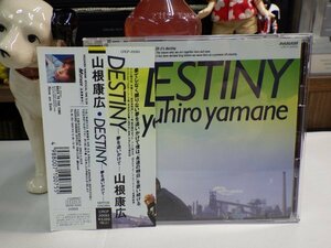 角5｜帯綺麗！★ CD / 帯付き ★山根康広 DESTINY