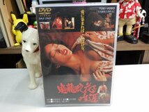 令1｜無傷！★ DVD ★「鬼龍院花子の生涯」五社英雄 夏目雅子_画像1