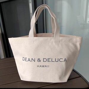 新品 DEAN ミニトートバッグ ハワイ ホワイト ディーン デルーカ トートバッグ アンド エコ