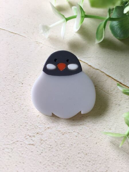 小鳥のブローチ♪ 文鳥 ブンチョウ 桜文鳥 アクリルブローチ 送料無料