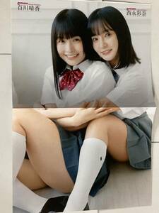 百川晴香 西永彩奈 椿野ゆうこ 百瀬せいな 茜紬うた 三葉ゆあ DVD ＋ ピンナップ cream クリーム 2023年10月号 ●送料160円～は2311　14