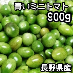 【900g】青いミニトマト 未熟 加工用 ピクルス プチトマト 長野県産