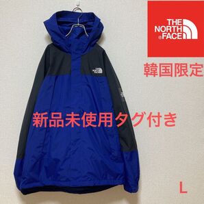 【新品未使用】(最終価格)海外規格 ノースフェイス マウンテンパーカ DRYVENT Lサイズ
