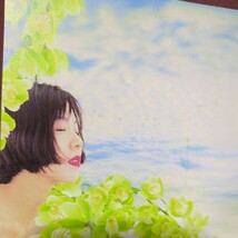 ■T21■　山下久美子　のアルバム　「Joy for U」_画像5