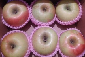 ぐんま名月　6玉入り　長野県特産 家庭 りんご 秀品 大玉 