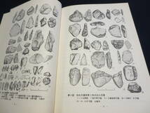 資料　東海先史文化の諸段階　１９７５年　加生沢遺跡の問題点　日吉遺跡の石刃文化　平野遺跡の小型石器_画像8