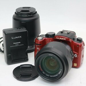 252)【動作品】パナソニック LUMIX G1 ルミックス DMC-G1 デジタル一眼レフカメラ レンズ 2点 G VARIO 14-140mm f4-5.8 45-200mm f4-5.6