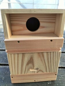 * button series parakeet. nest box *