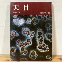 トヲ☆1101[陶磁大系 38 天目] 陶磁 やきもの 陶芸 平凡社_画像1