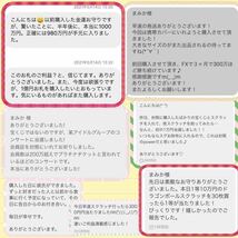 お金を招く☆ 白蛇様のお守り 白蛇 しろへび お守り 財布 皮 抜け殻 白 縁起物 虹の衣_画像4