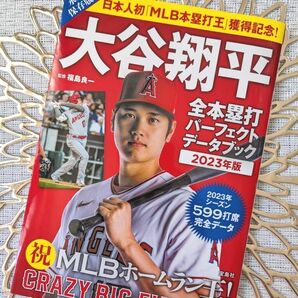 大谷翔平　永久保存版　2023年　MLBホー厶ラン王 プロ野球 大谷