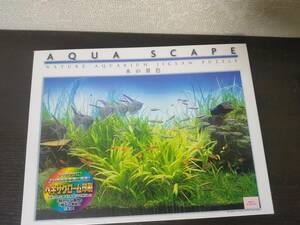 AQUA SCAPE 水の景色 『 淡色の石景 』 アクアリウム　写真：天野尚　１０００ピース　ジグソーパズル　未使用