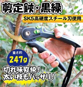 剪定鋏 黒緑黄 高級 剪定ばさみ プロ 園芸はさみ バネ 園芸ハサミ 花用 花ばさみ さびない SK5 園芸用はさみ 小型 剪定