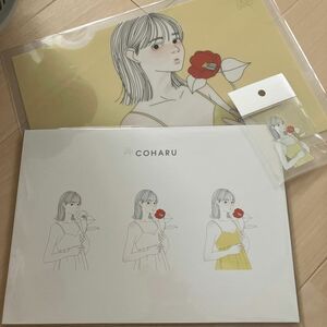 佐藤ノア　COHARU クリアファイル　グッズ