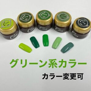 【カラー変更可 】グリーン系カラージェル ジェルネイル