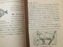 ｓ◆　昭和25年　教科書　わたしたちの科学2　人と動物　中学校第1学年用　北陸教育書籍　書き込み有　昭和レトロ　当時物　/　M97_画像5