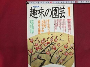 ｓ◆　平成3年　NHK 趣味の園芸 1月号　ポインセチア 他　日本放送出版局　書籍のみ　書籍　雑誌　/M99