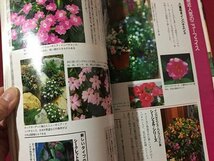 ｓ◆　平成11年　NHK 趣味の園芸 7月号　インパチエンス 他　日本放送出版局　書籍のみ　書籍　雑誌　/M99_画像4