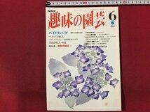 ｓ◆　平成5年　NHK 趣味の園芸 6月号　ハイドランジア　ベゴニア 他　日本放送出版局　書籍のみ　書籍　雑誌　/M99_画像1