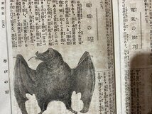 ｃ◆　明治27年　幼年雑誌　第14号　博文館　読物　当時物　古書　/　N9_画像6