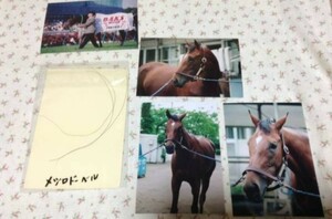 メジロドーベル　一本 たてがみ 非売品　チャリティー ウマ娘 風水 御守り 競馬 当選品　鬣