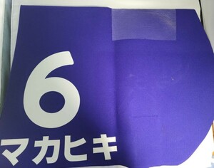 マカヒキ ダービー馬 たてがみ ウマ娘 競馬 jra 武豊 鬣 ディープインパクト 一本