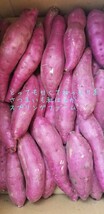 10㌔以上R5年産茨城県紅はるかS&2Sメイン少し訳あり品サツマイモ減農薬栽培_画像3
