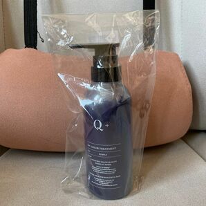 Q+ (クオリタス) カラートリートメント 紫 インナーカラー ダメージケア 黄ばみ防止 髪色キープ 300g