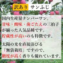 【1円開始】青森県産 訳あり家庭用 葉とらずサンふじ(ふじりんご) 5kg【11/28(火)20:00台終了】5キロ_画像8