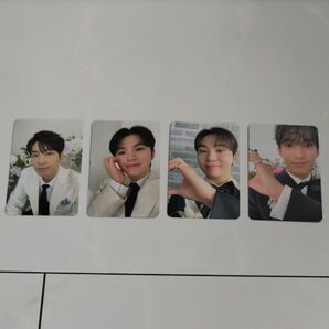 FML (CARAT Ver.) SEVENTEEN