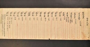 千葉一族 白井氏系図 1巻 巻物 系図 写本 歴史 日本史 和本 古文書