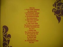 ● 輸入FRANCE盤 LP PSYCHEDELIC UNKNOWNS / THE CALICO WALL THE NOBLES カルトサイケコンピ CALICO RECORDS PSY 101 ◇r51129_画像3
