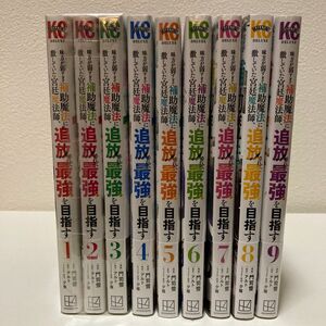 味方が弱すぎて補助魔法に徹していた宮廷魔法師、追放されて最強を目指す　1-9巻