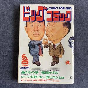 ビッグコミック 1972/6/25 昭和47年 読切-蟲たちの家/楳図かずお/辰巳ヨシヒロ 奇子/手塚治虫 ビタミンI/望月三起也 石森章太郎 ゴルゴ13