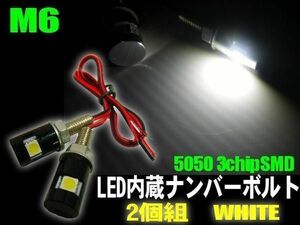 バイク LED 内蔵ボルト 2個組 黒 ブラック ナンバー灯 白 ホワイト