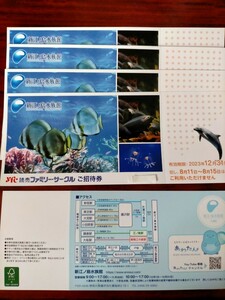 新江ノ島水族館　ご招待券　5枚あります