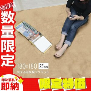 【限定セール】ラグ カーペット ラグマット Mサイズ 185x185cm 極厚25mm 2.2畳 床暖房 抗菌 防ダニ 低反発 絨毯 リビング マット 黄