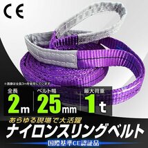 【送料無料】スリングベルト 耐荷重1000kg 長さ2m×幅25mm 両端アイ型 ナイロン スリング ベルト 玉掛け 荷揚 荷吊りベルト 牽引 高耐久_画像1