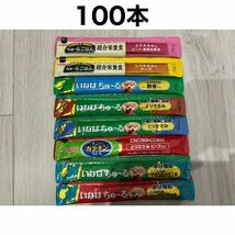 いなば ちゅーるごはん ちゅ〜る8種100本 犬用 ドッグフード わんちゅーる ワンチュール_画像2