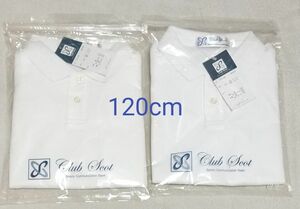 お値下げ中 2枚 新品 未開封 120cm 白 半袖 シャツ 幼稚園 小学校 受験 行動観察 体操試験 