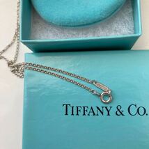 TIFFANY&Co. ティファニー 馬蹄 ネックレス ホースシュー　シルバー SV925 ケース　保存袋付き_画像3