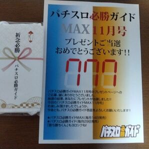 パチスロ必勝ガイドMAX11月号 懸賞当選 祈念必勝マスク！