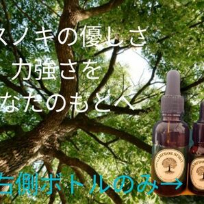 樟脳精 10ml エドガーケイシー　爪の変形　分厚さに