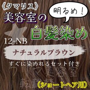 12-NB タマリス　白髪染め　ショート　メンズ　ヘアカラー剤　セット付　10・8・6・4・1トーンあり