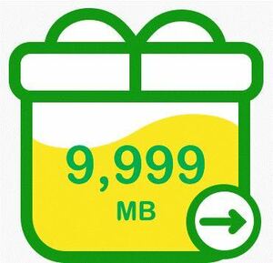 mineo マイネオ　パケットギフト　10GB（9999MB)　送料無料