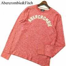 Abercrombie&Fitch アバクロンビー＆フィッチ 通年 ロゴ★ クルーネック コットン ニット セーター カットソー Sz.M　メンズ　A3T12550_A#L_画像1