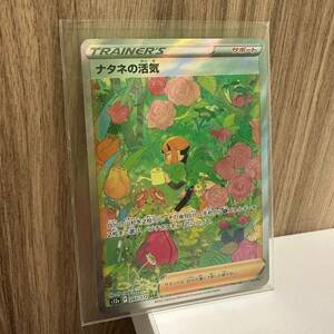 【開封後即ケース収納】ポケモンカード ナタネの活気 SAR 243/172 Vスターユニバース ポケカ 中古品 現状品 B2508-3